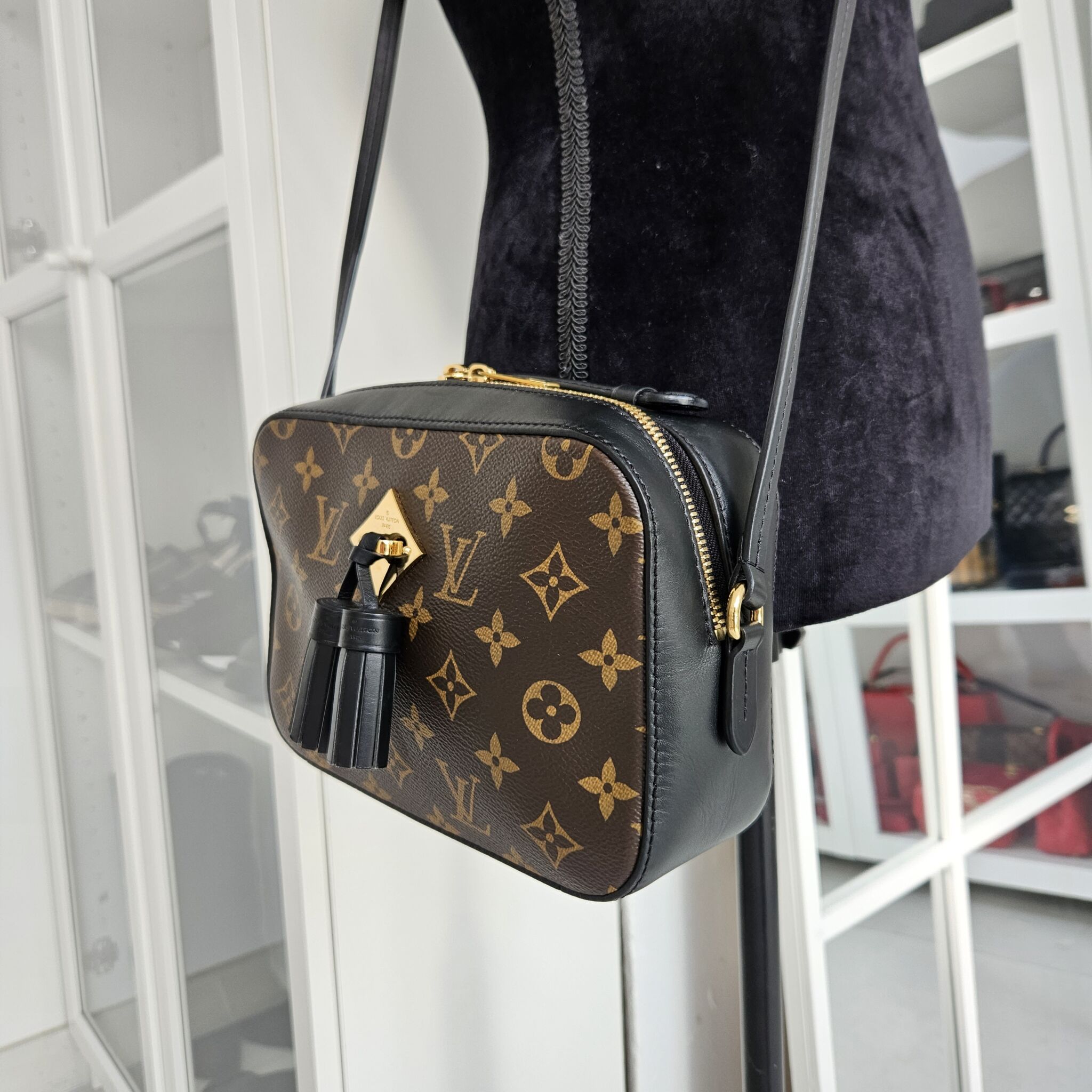 Louis Vuitton Bags Saintonge